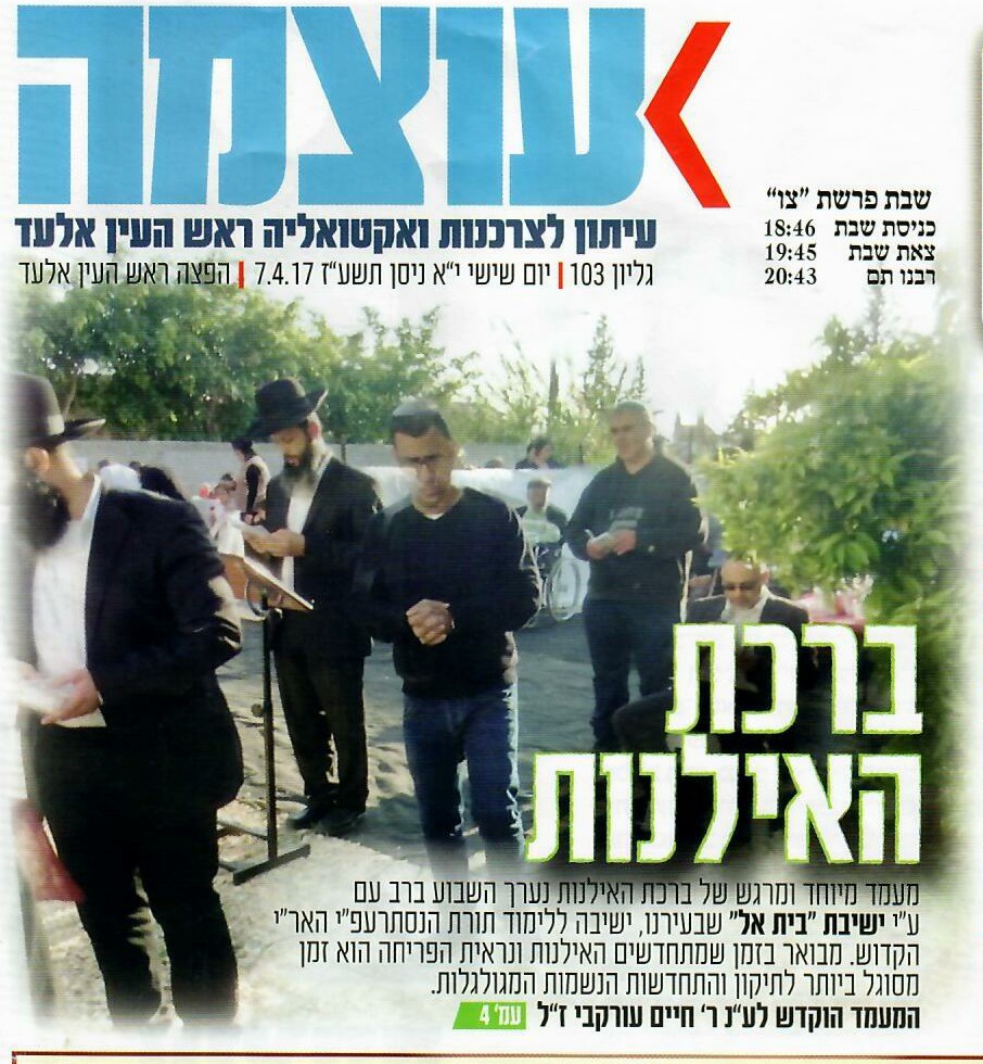 טקס ברכת האילנות